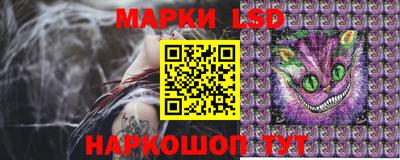 a pvp Жуковский