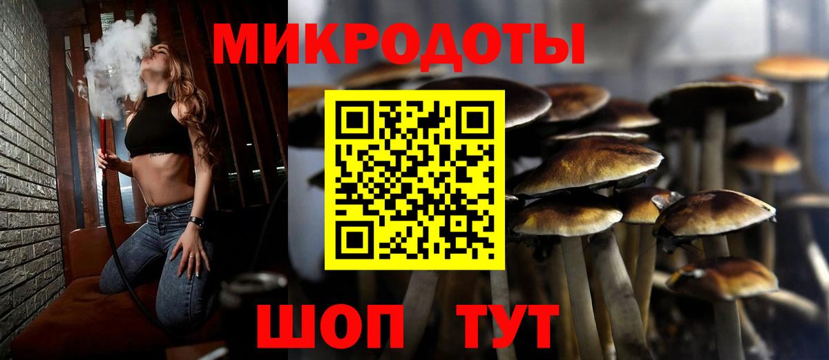 Псилоцибиновые грибы мухоморы Гулькевичи