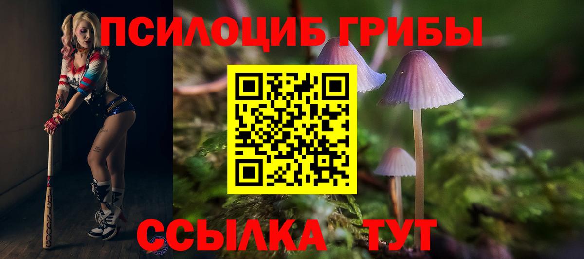 Гулькевичи  Псилоцибиновые грибы MAGIC MUSHROOMS  как найти   Вход с VPN 